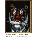 Портрет тигра Алмазная мозаика вышивка на подрамнике Molly
