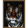  Портрет тигра Алмазная мозаика вышивка на подрамнике Molly KM0007