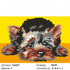 Количество цветов и сложность Лохматый щенок Раскраска по номерам на холсте Molly KH0277
