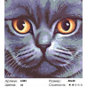 Количество цветов и сложность Кошачья мордочка Раскраска по номерам на холсте Живопись по номерам A383