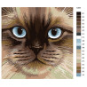 Раскладка Голубоглазая мордочка Раскраска по номерам на холсте Живопись по номерам A384