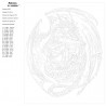 Схема Власть дракона Раскраска по номерам на холсте Живопись по номерам AS06