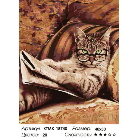 Количество цветов и сложность Папин кот Раскраска по номерам на холсте Живопись по номерам KTMK-18740