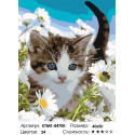 Количество цветов и сложность Прогулка котенка Раскраска по номерам на холсте Живопись по номерам KTMK-84700