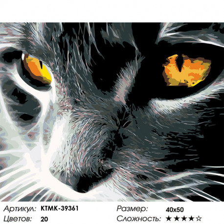 Количество цветов и сложность Янтарный взгляд Раскраска по номерам на холсте Живопись по номерам KTMK-39361