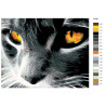 Раскладка Янтарный взгляд Раскраска по номерам на холсте Живопись по номерам KTMK-39361