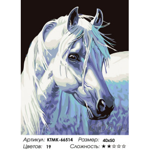 Раскладка Породистая лошадь Раскраска по номерам на холсте Живопись по номерам KTMK-66514