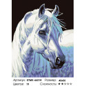 Породистая лошадь Раскраска по номерам на холсте Живопись по номерам