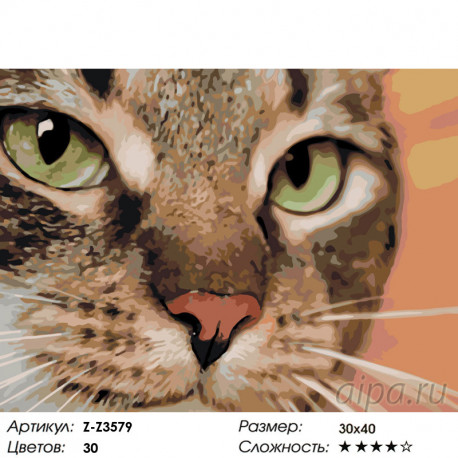 Количество цветов и сложность Хищный кот Раскраска по номерам на холсте Живопись по номерам Z-Z3579