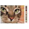 Раскладка Хищный кот Раскраска по номерам на холсте Живопись по номерам Z-Z3579