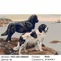 Собаки у моря Раскраска по номерам на холсте Живопись по номерам