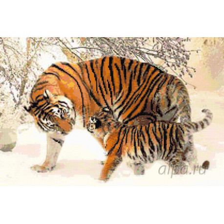  Обучение тигренка Алмазная вышивка мозаика H19