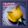 В рамке Желтая роза Алмазная вышивка мозаика АЖ-0018