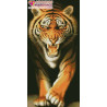  Тигр Алмазная вышивка мозаика АЖ-0185