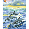 Семья дельфинов Алмазная вышивка мозаика