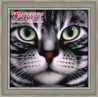 В рамке Мордочка кота Алмазная вышивка мозаика АЖ-1085