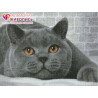  Британский кот Алмазная вышивка мозаика АЖ-1463