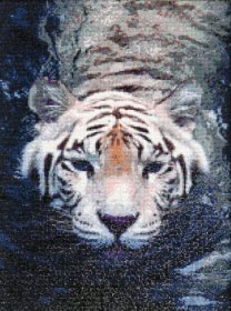 Тигр в воде (собранная работа) Алмазная вышивка (мозаика) Гранни.